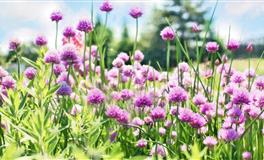 跟这三个星座在一起，你可以放心的做回孩子！