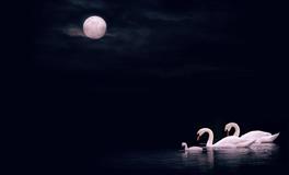 外表坚强内心却孤独的星座，难让人走进内心，射手座上榜