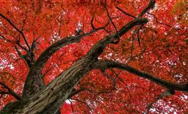 为什么这个星座总不能好好恋爱？得到了就不想要。你该怎么征服他