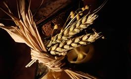 相爱相杀的三大星座，越相爱越痛苦，尤其双鱼，闷骚又可爱