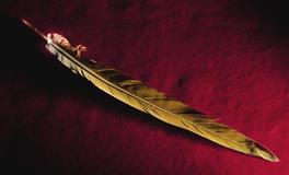 什么样的话会踩到水瓶座雷区？