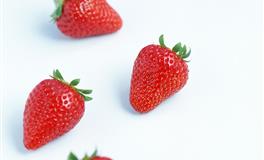 佩妮2022年1月星座运势