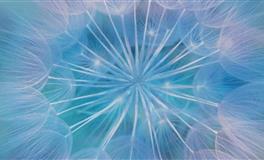 Kiddoの星运处女座一周运势（1.3-1.9）