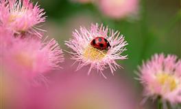 凯利.福克斯水瓶座2022年1月运势