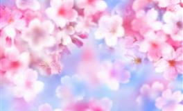 最塔罗水瓶座一周运势(2.28-3.6)