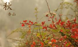 Alex天秤座一周运势（2.28-3.6）