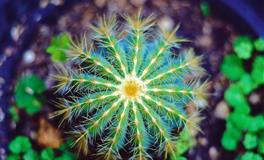 十二星座2022年运势详解