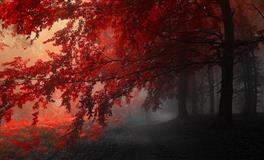 苏珊米勒每日运势2022年2月17日