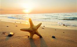 12星座谁爱得主动大胆，谁爱得被动小心？