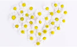 凯利.福克斯巨蟹座2022年2月运势