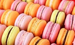 判答占星2022年2月星座运势