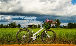 羲邑师姐：生肖虎一周运势(3.14-3.20)