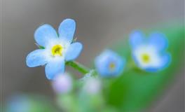 闹闹女巫店2022年3月星座运势