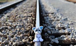 苏珊米勒每日运势2022年3月7日