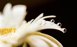 天生心肠软，再不喜欢也不会和人撕破脸的三大星座，最宽容大度