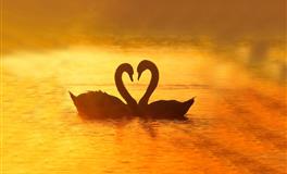 苏珊米勒每日运势2022年3月29日