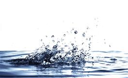 白羊月到来，这几个星座将会扶摇直上