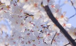 苏珊米勒每日运势2022年3月25日