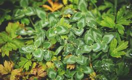 闹闹女巫店处女座一周运势(3.21-3.27)