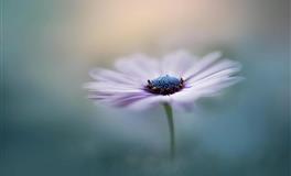 最命苦的三大星座，劳碌一生，却不懂享受