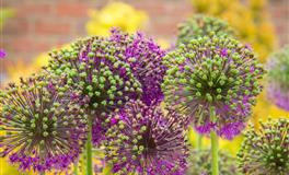 在爱情中，不会选择和平分手的四大星座：爱得越深，分手越狠