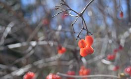 完美人设不只是夸大：这些星座情商很高，处世风格温柔大方