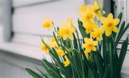 勤俭持家的四大生肖女，精打细算会过日子，遇到就娶回家吧！