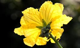 最懂人心的三大星座，天生就会读心术，一眼能看穿谎言，最不好骗