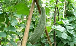 花甜水瓶座2022年4月运势