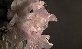 能说会道，营销能力极强的三大星座，口活好，一般人说不过