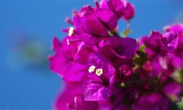 找准12上升星座的职业方向，用对了命主星，再也不愁了（超全指南）