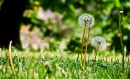 静电鱼处女座一周运势(4.25-5.1)