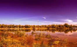 羲邑师姐生肖猴一周运势(4.11-4.17)