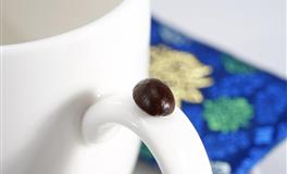 Kiddo处女座一周运势（4.11-4.17）