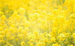 2022上半年转折点，日月蚀你不可不知的二三事