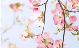 吵架讨厌讲道理的几大星座，巨心累