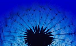 裴恩：巨蟹座一周运势（4.11-4.17）