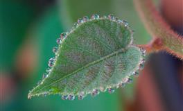 你的朋友对你是什么看法？