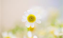 30岁后会【越来越有钱】的星座