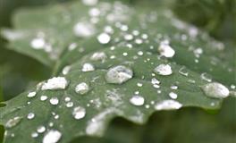 克莉丝汀双子座双周运势(4.13-4.26)