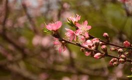 苏珊米勒每日运势2022年4月23-24日