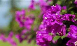 蓝蓝占星巨蟹座一周运势(4.11-4.17)