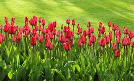 TA是个超级专一，只爱你一人的人吗？