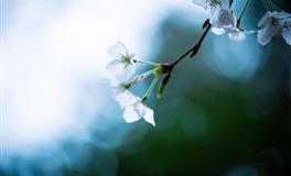 喜欢损人的三个星座，好像自己才是最完美，别人都有缺陷