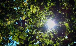 找老公就要找这三大生肖男，专一痴情，定能宠爱你一生！