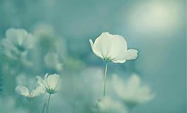 最温柔的四个星座，说话声音，比黄鹂鸟还动听