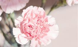 看男人“眼光最差”的星座：常因为感动，而落入渣男的感情陷阱！