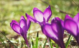 懂得感恩的三大星座，从不会忘记帮助过自己的人！