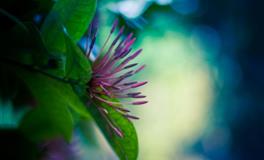 各血型在社会上充当的角色