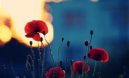 身边不乏追求者，最不愁嫁的三大星座女！